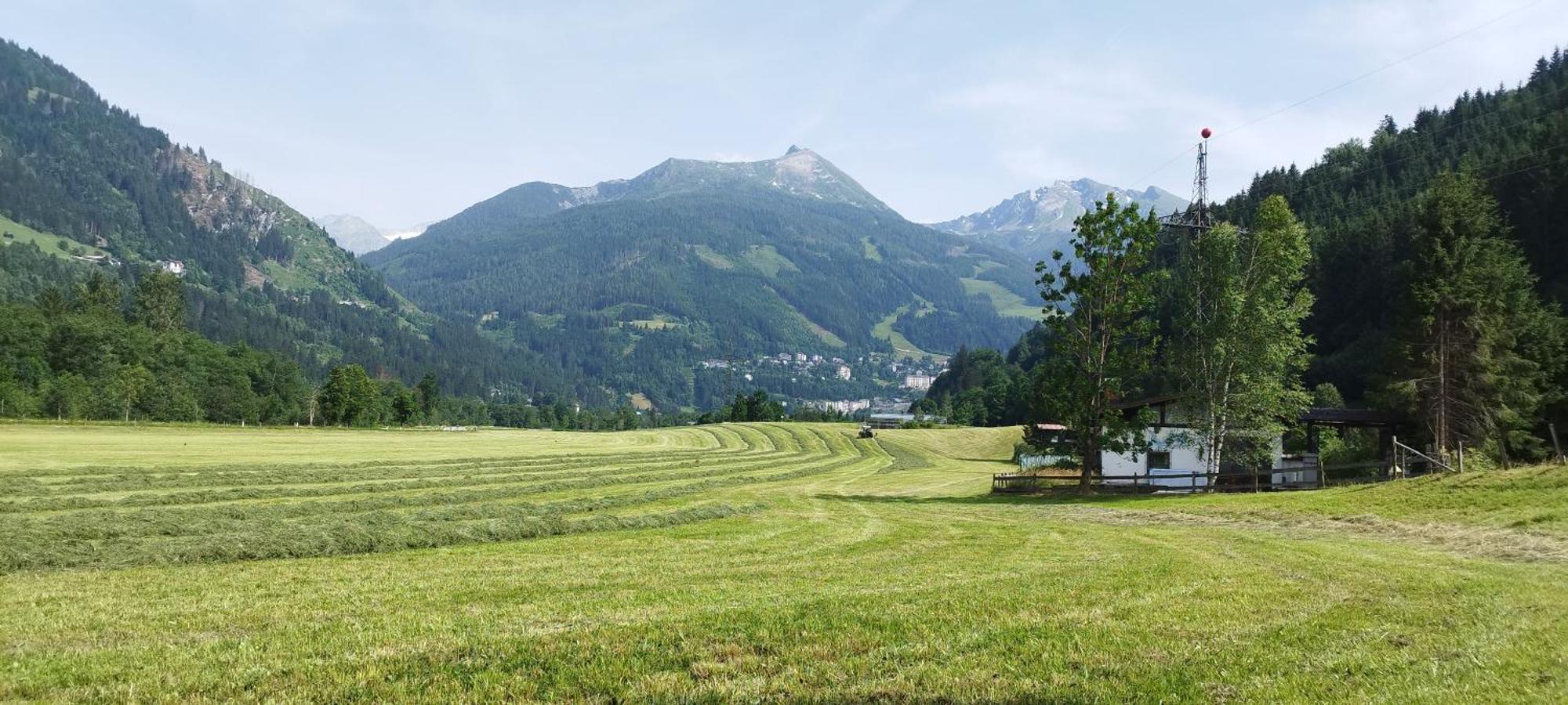 Вилла Bio Bauernhof Schweizerhof Бад Хофгаштайн Экстерьер фото